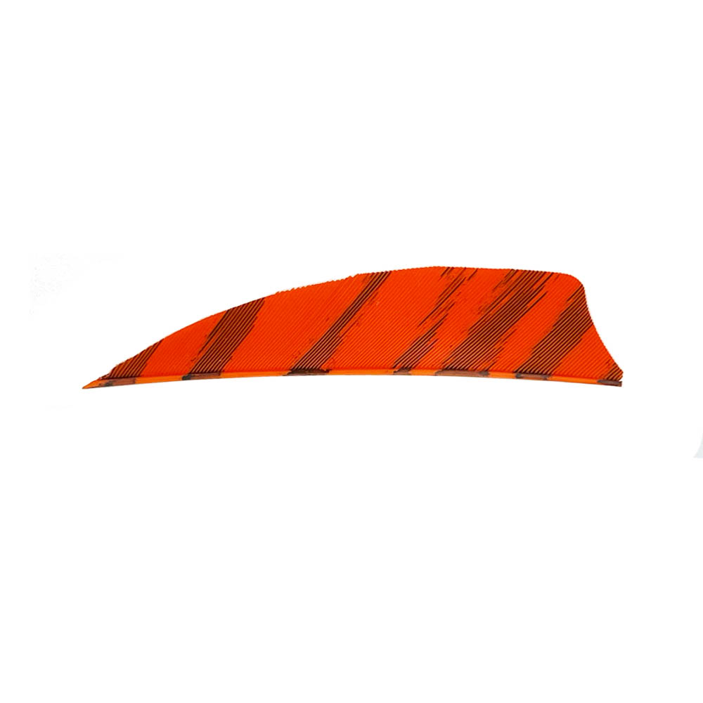 Farbe: Barred Orange Farbe: Barred Orange