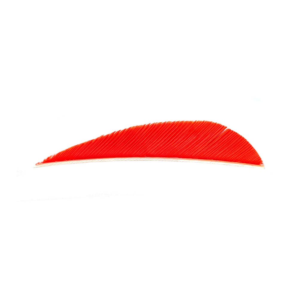Farbe: Orange Farbe: Orange