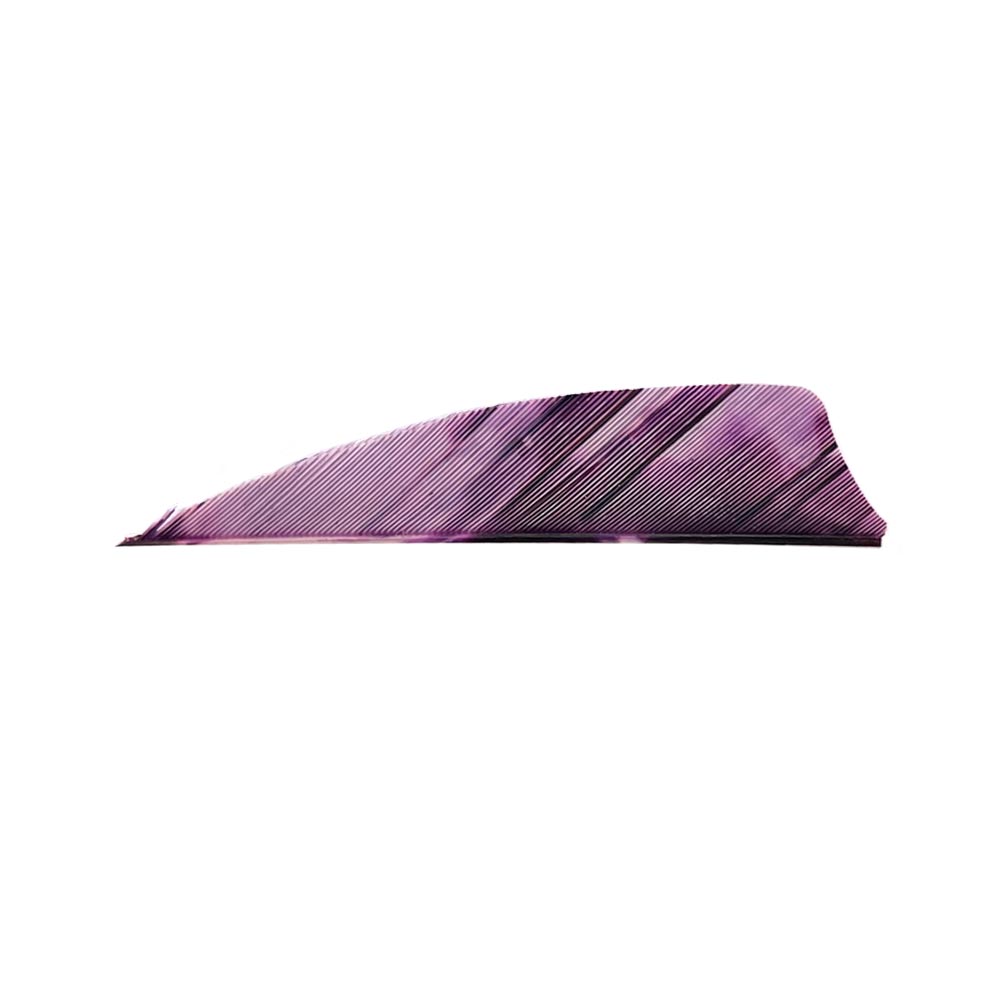 Farbe: Tre Purple Farbe: Tre Purple
