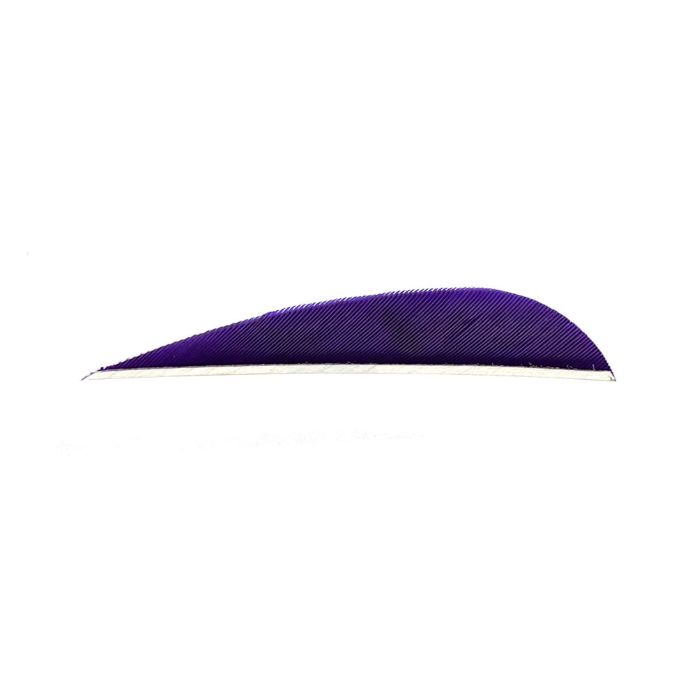 Farbe: Purple Farbe: Purple