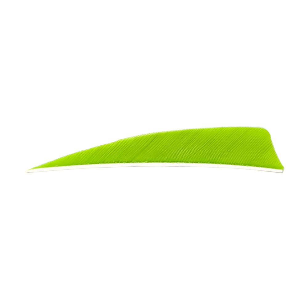 Farbe: Lemon Lime Farbe: Lemon Lime