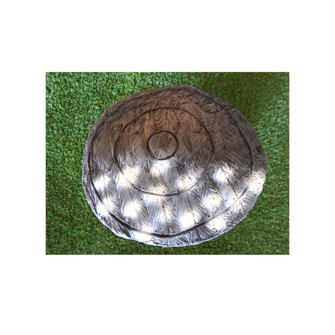 Pantser, Schild, Dier, Vogel