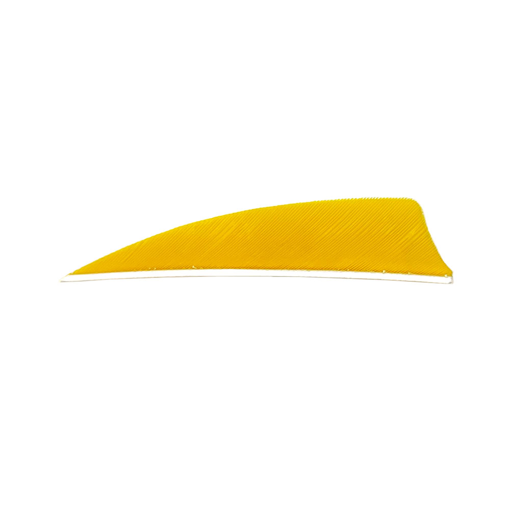 Farbe: Yellow Farbe: Yellow