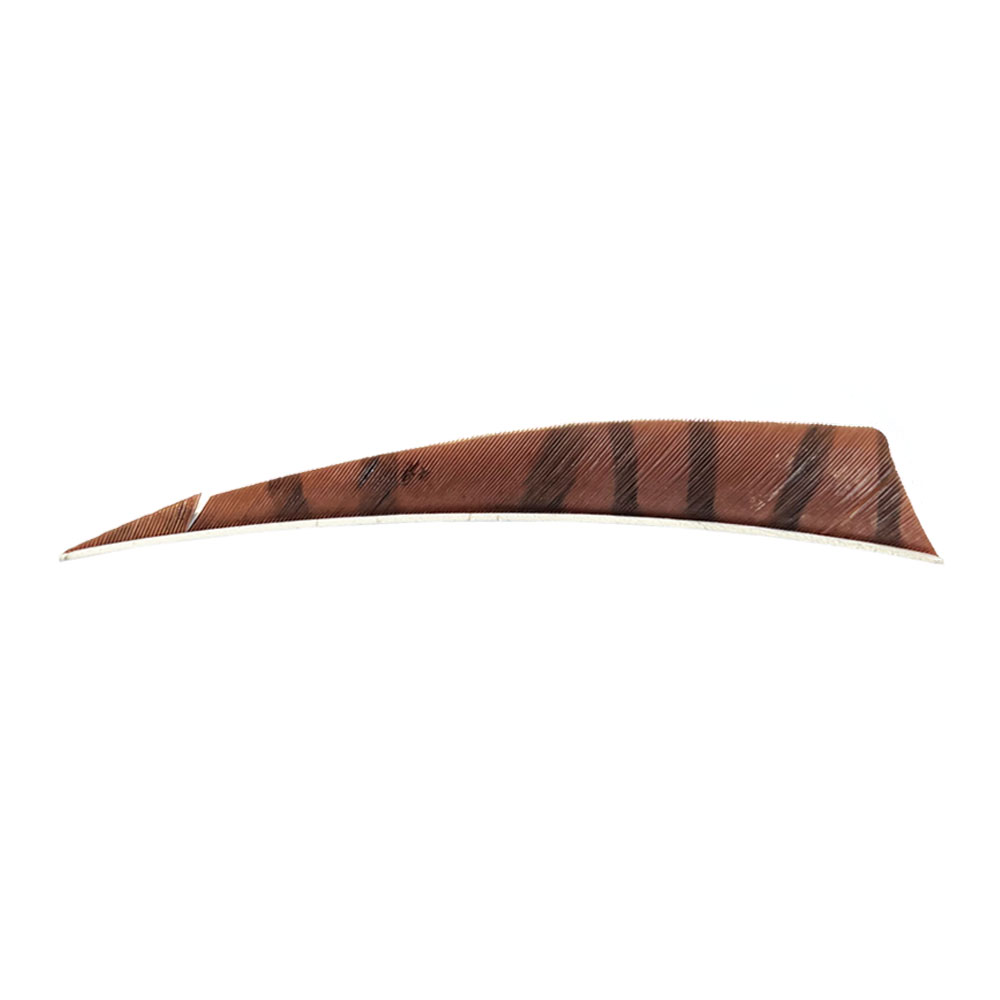 Farbe: Brown/Black Farbe: Brown/Black