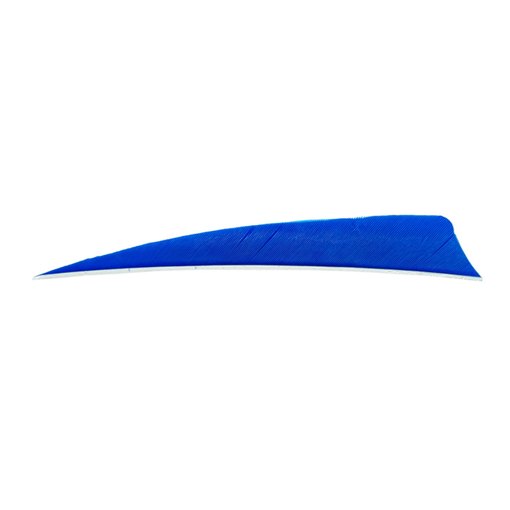 Farbe: Blue Farbe: Blue