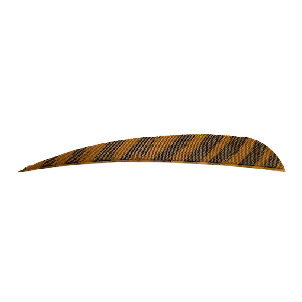 Farbe: Barred Brown Farbe: Barred Brown