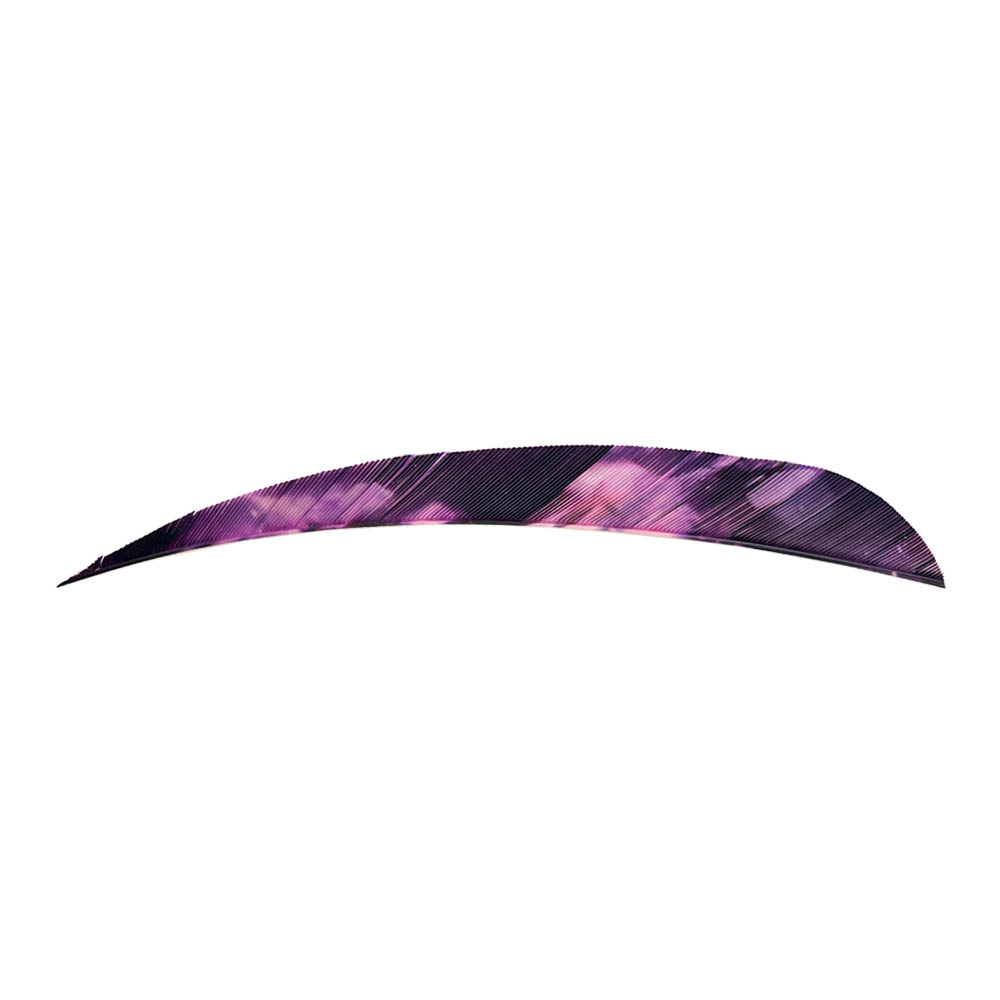 Farbe: Tre Purple Farbe: Tre Purple