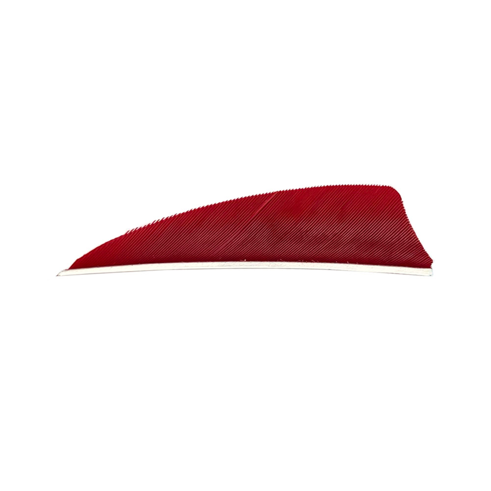 Farbe: Red Farbe: Red