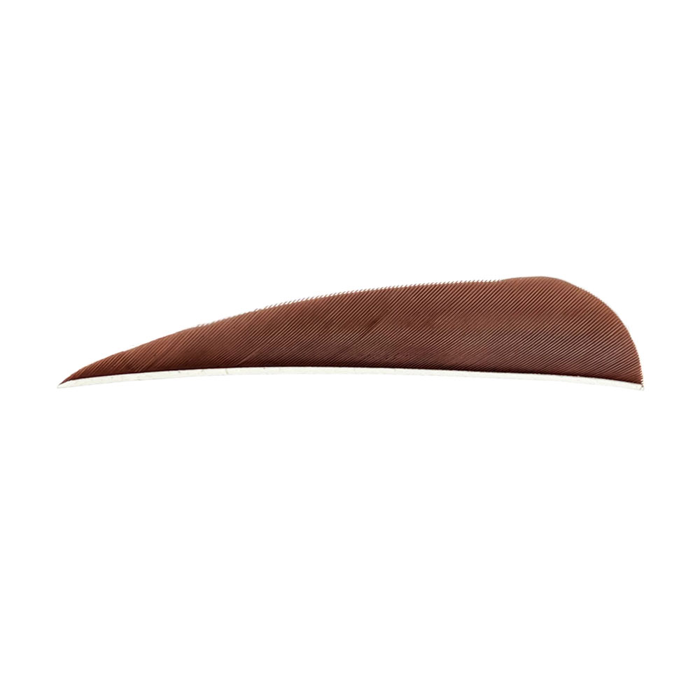 Farbe: Brown Farbe: Brown