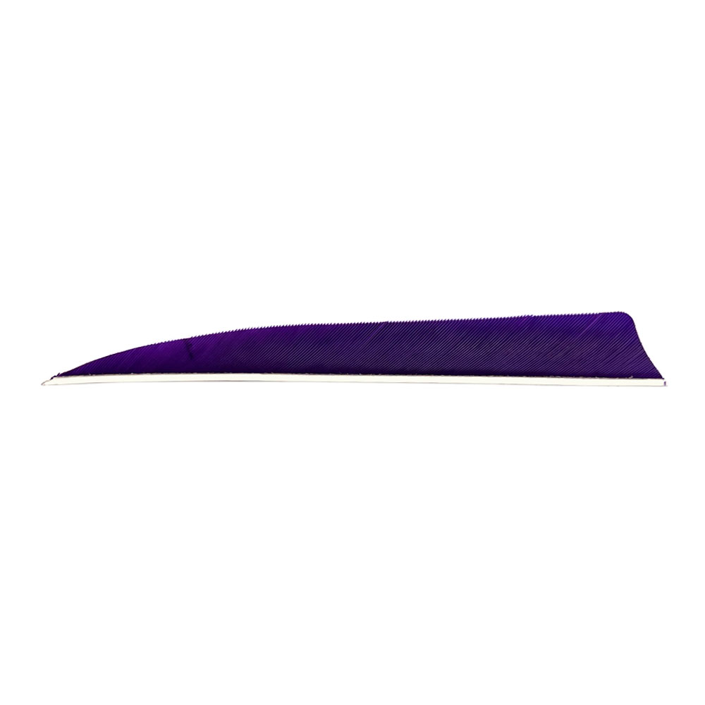 Farbe: Purple Farbe: Purple