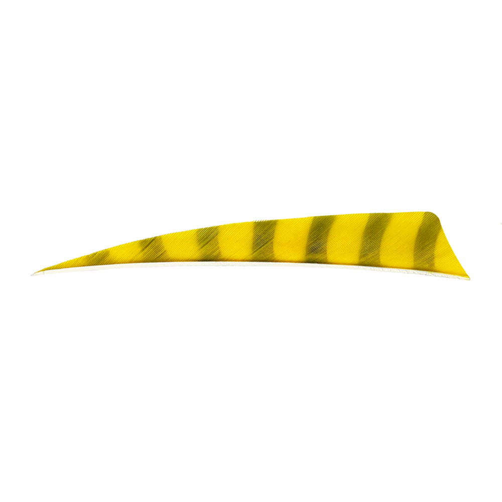 Farbe: Yellow/Black Farbe: Yellow/Black