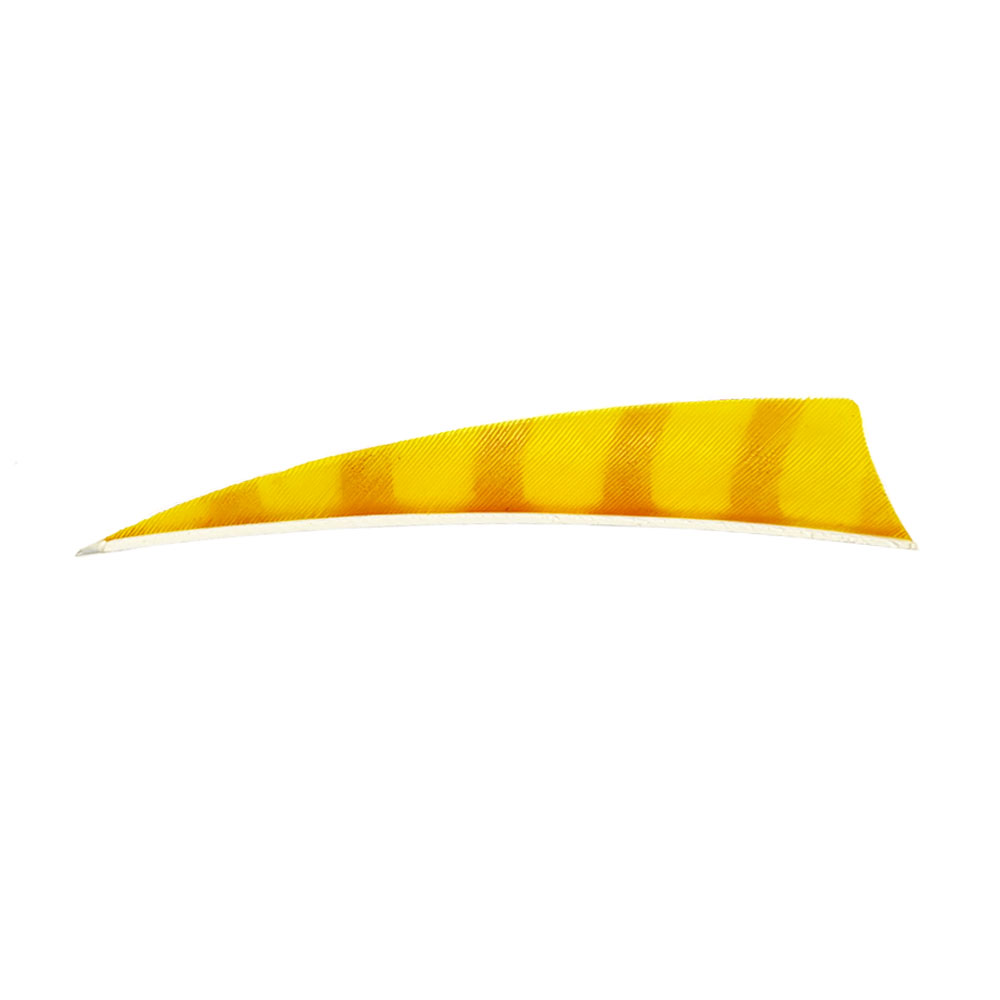 Farbe: Orange/Yellow Farbe: Orange/Yellow