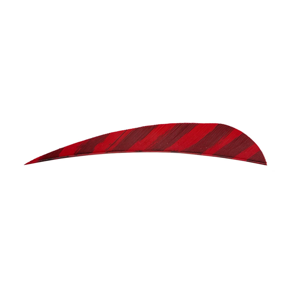 Farbe: Barred Red Farbe: Barred Red