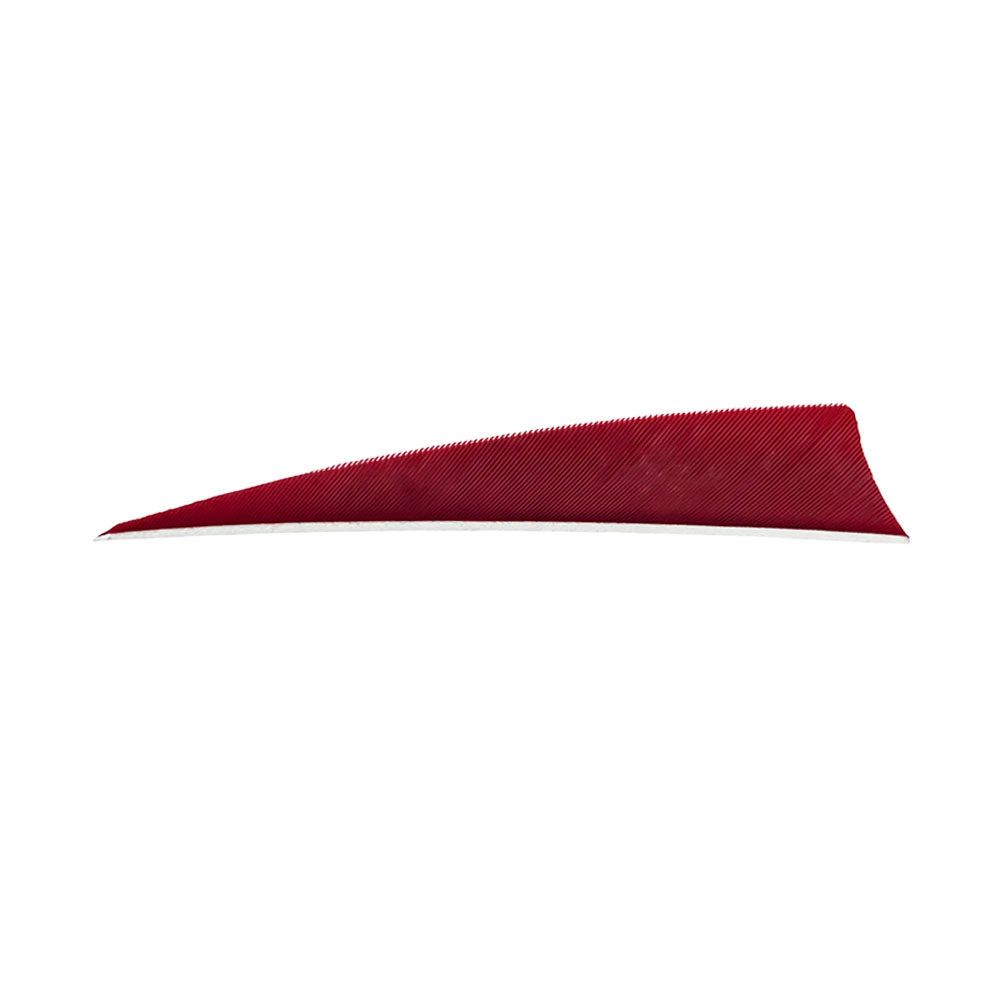 Farbe: Red Farbe: Red