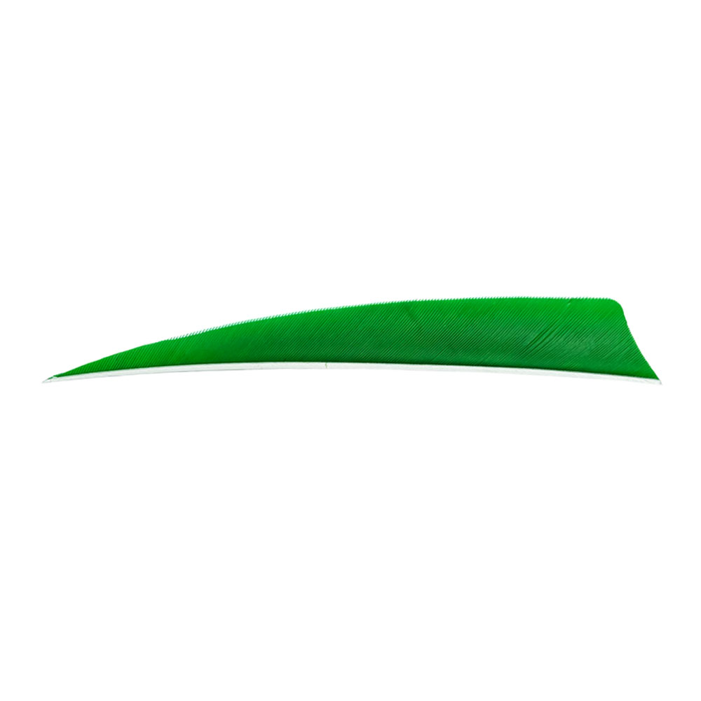 Farbe: Green Farbe: Green