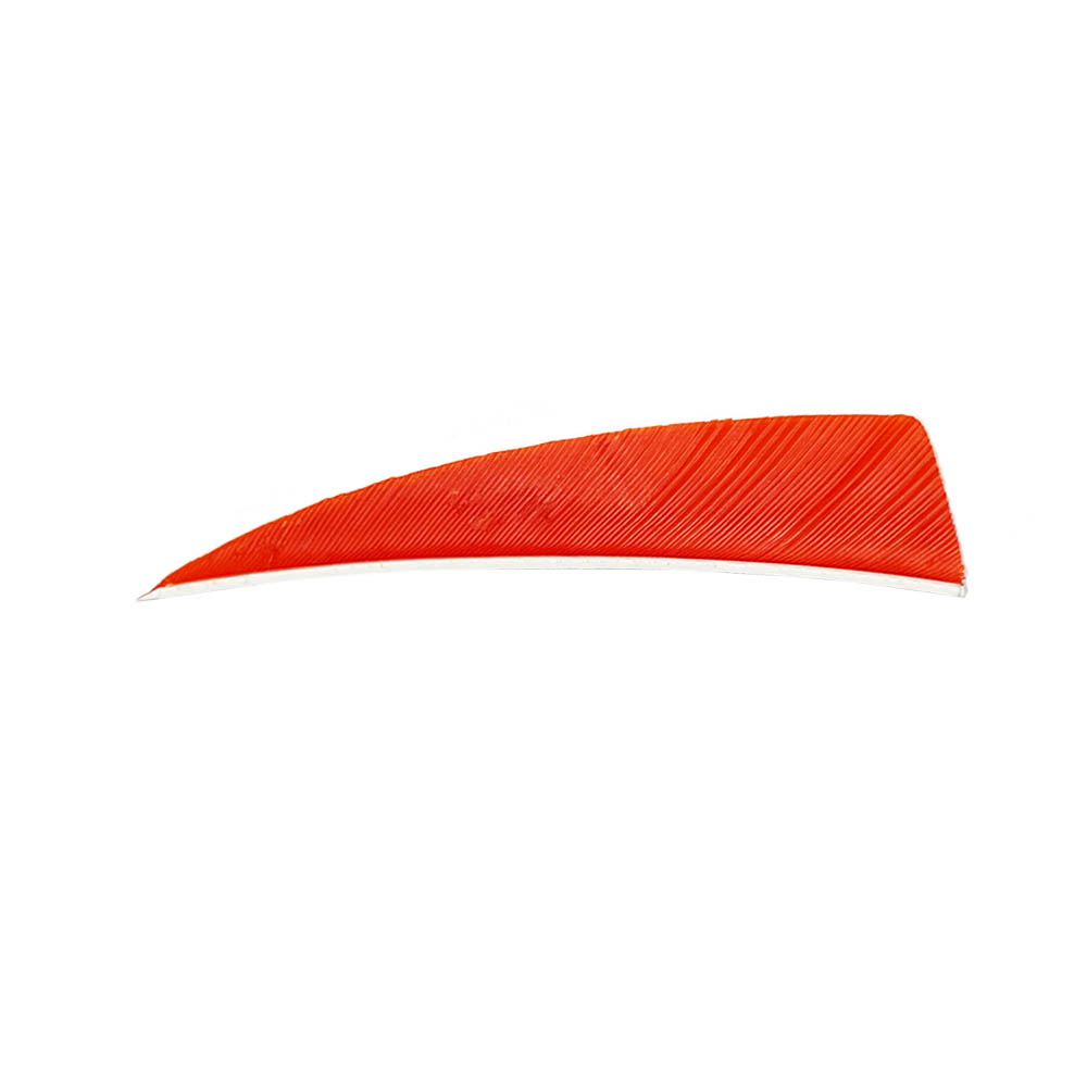 Farbe: Orange Farbe: Orange