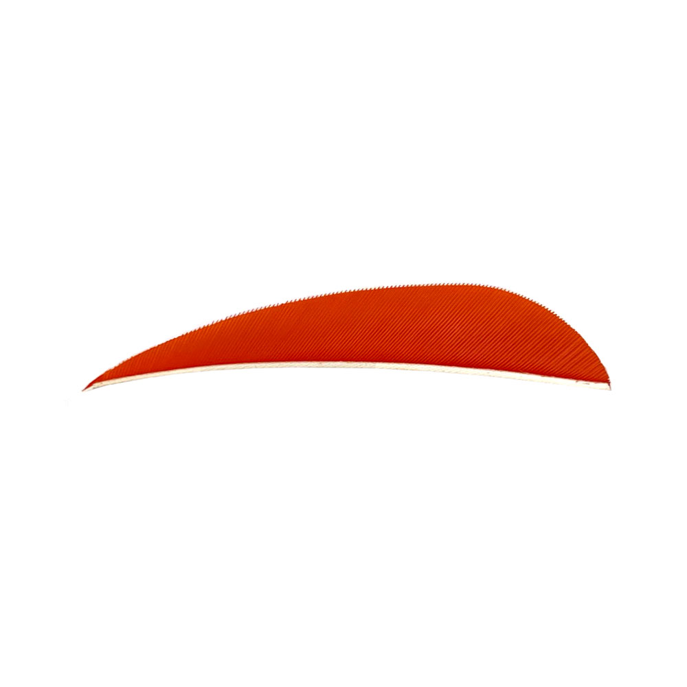 Farbe: Tangerine Farbe: Tangerine