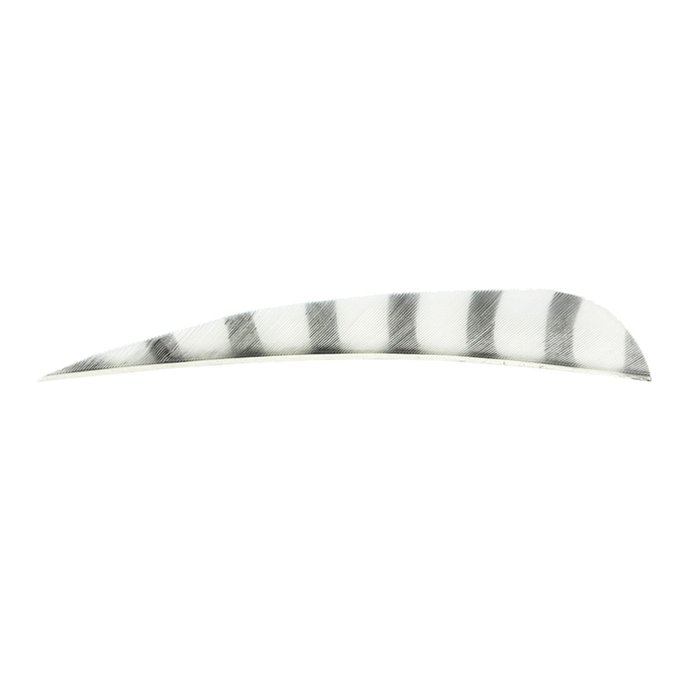Farbe: White/Black Farbe: White/Black