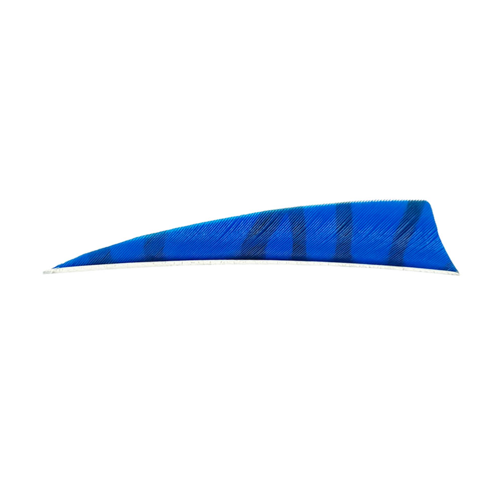 Farbe: Blue/Black Farbe: Blue/Black