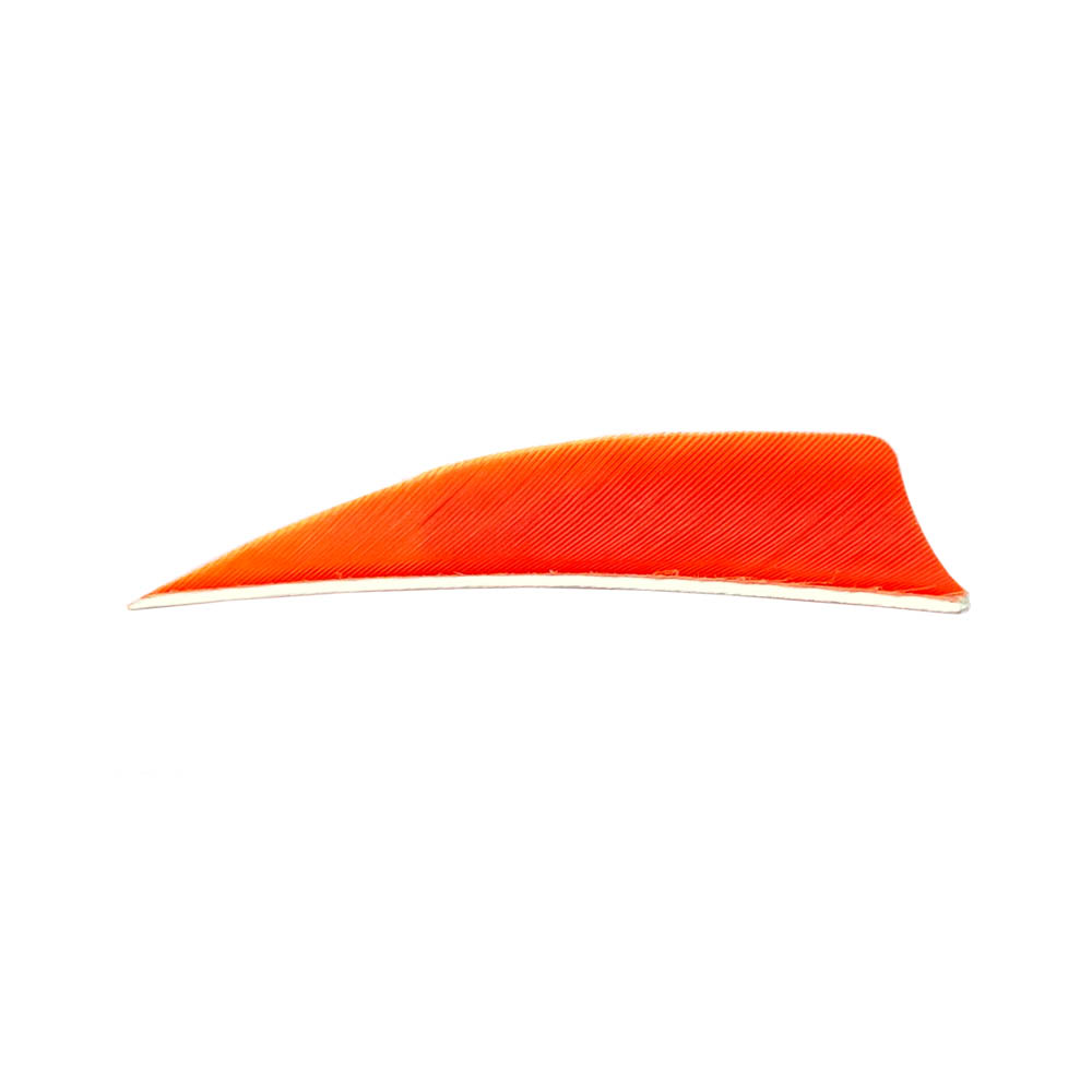 Farbe: Orange Farbe: Orange