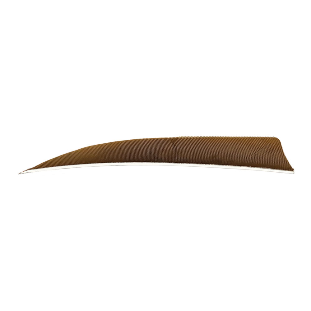 Farbe: Brown Farbe: Brown
