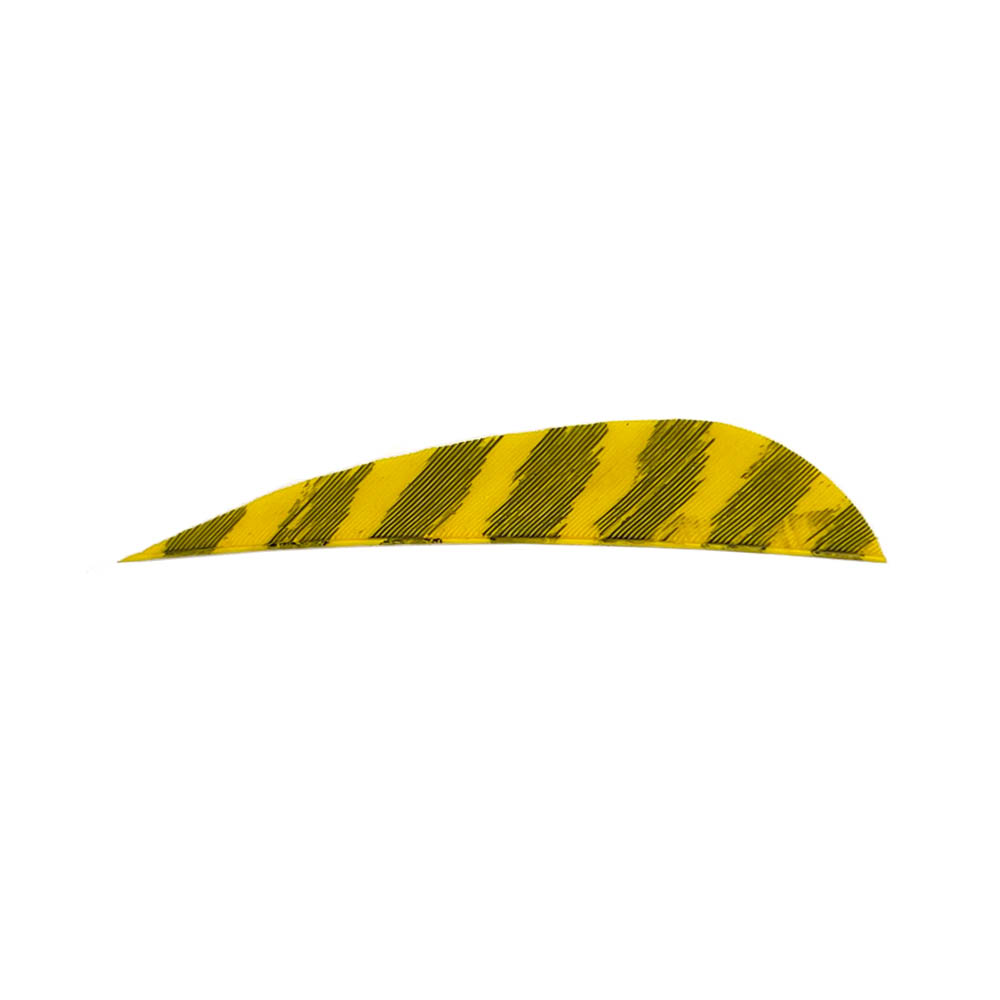 Farbe: Barred Yellow Farbe: Barred Yellow