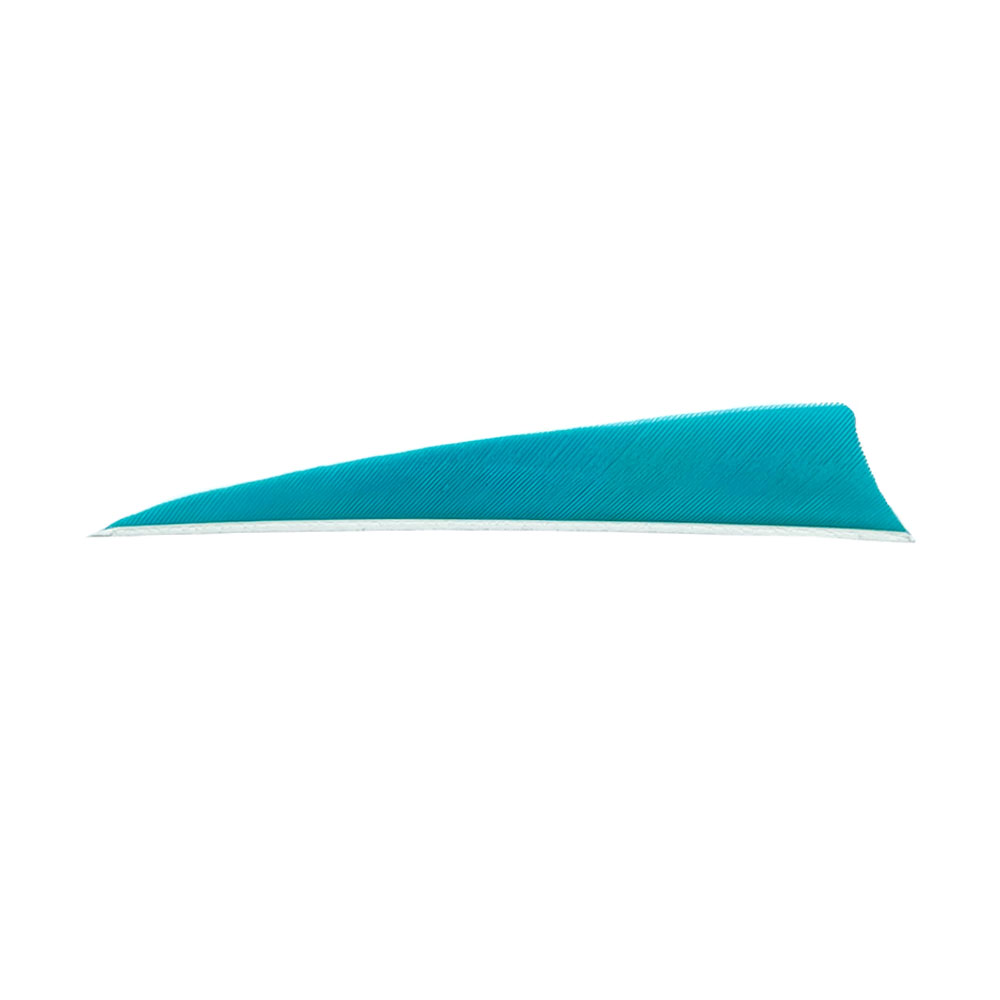 Farbe: Turquoise Farbe: Turquoise