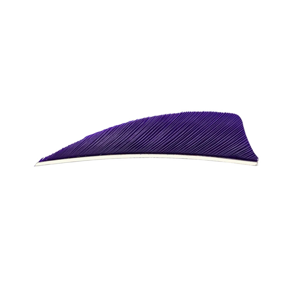 Farbe: Purple Farbe: Purple